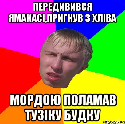 передивився ямакасі,пригнув з хліва мордою поламав тузіку будку