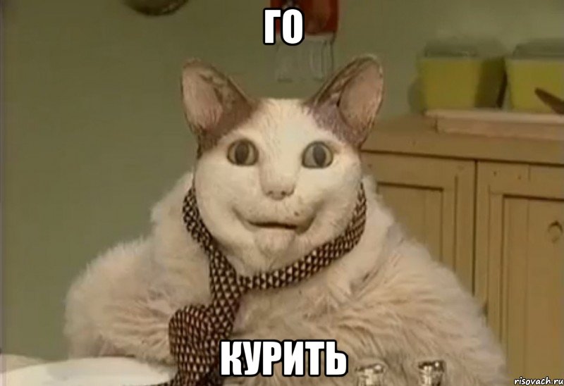 го курить, Мем кот-упорот