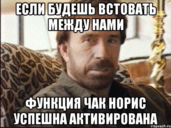если будешь встовать между нами функция Чак Норис успешна активирована