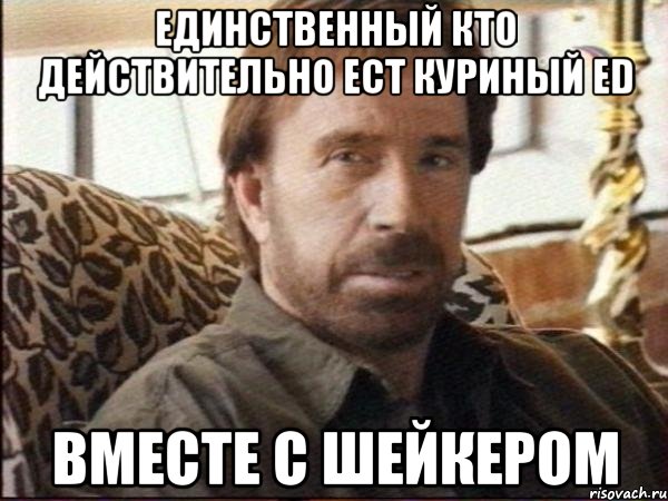 Единственный кто действительно ест куриный ed вместе с шейкером, Мем чак норрис