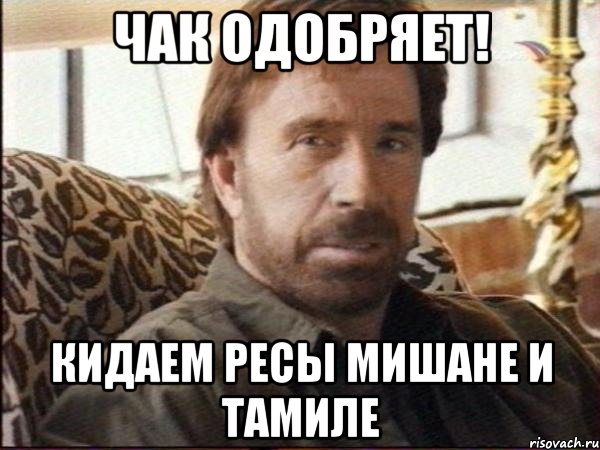 Чак одобряет! Кидаем ресы Мишане и Тамиле