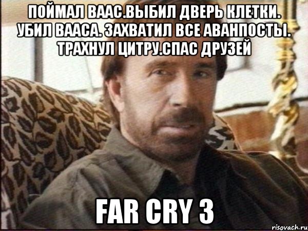 Поймал ваас.выбил дверь клетки. убил вааса. захватил все аванпосты. трахнул Цитру.Спас друзей far cry 3, Мем чак норрис