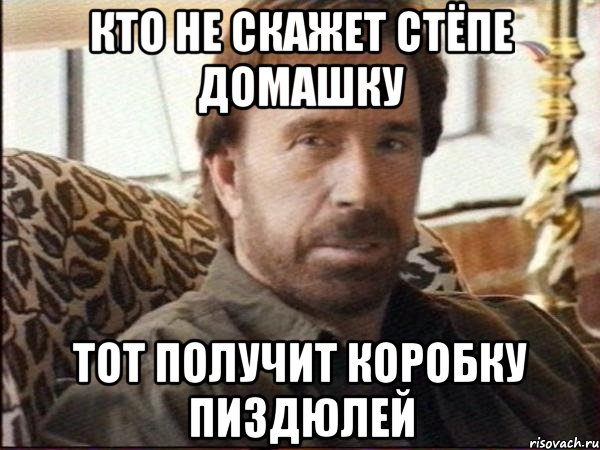 кто не скажет стёпе домашку тот получит коробку пиздюлей, Мем чак норрис