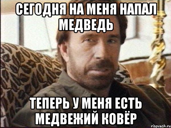 сегодня на меня напал медведь теперь у меня есть медвежий ковёр, Мем чак норрис