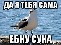 да я тебя сама ебну сука