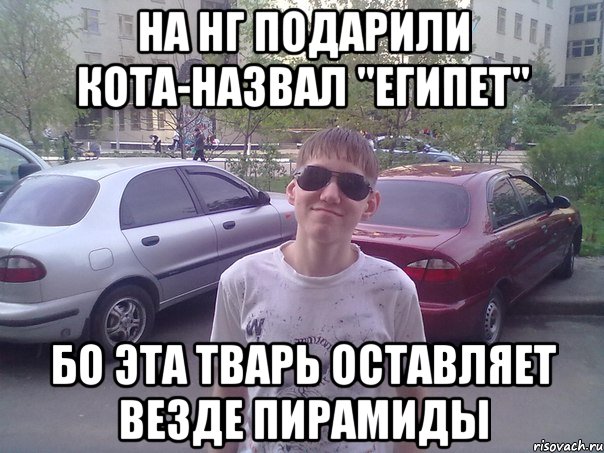 На НГ подарили кота-назвал "Египет" Бо эта тварь оставляет везде пирамиды, Мем Чорный паца