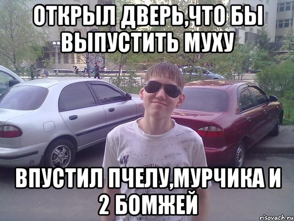 Открыл дверь,что бы выпустить муху впустил пчелу,мурчика и 2 бомжей