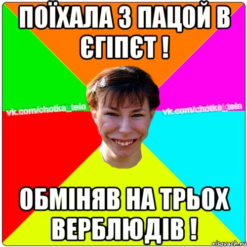 Поїхала з пацой в єгіпєт ! обміняв на трьох верблюдів !, Мем Чьотка тьола создать мем