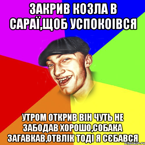 Закрив козла в сараї,щоб успокоівся Утром открив він чуть не забодав Хорошо,собака загавкав,отвлік тоді я сєбався, Мем Чоткий Едик