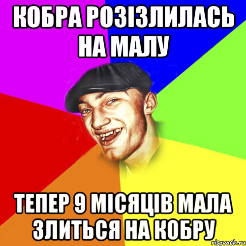 кобра розізлилась на малу тепер 9 місяців мала злиться на кобру, Мем Чоткий Едик