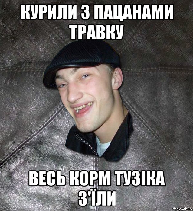 курили з пацанами травку весь корм Тузіка з'їли, Мем Тут Апасна