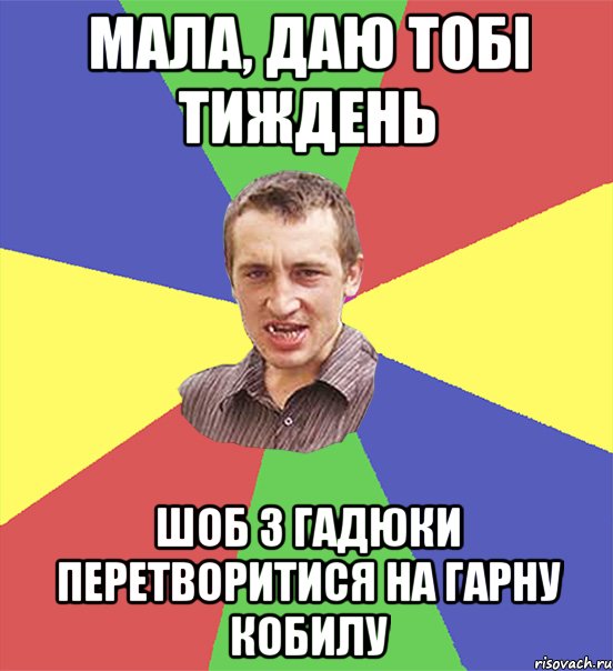 мала, даю тобі тиждень шоб з гадюки перетворитися на гарну кобилу, Мем чоткий паца