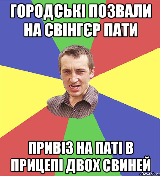 городські позвали на свінгєр пати привіз на паті в прицепі двох свиней, Мем чоткий паца