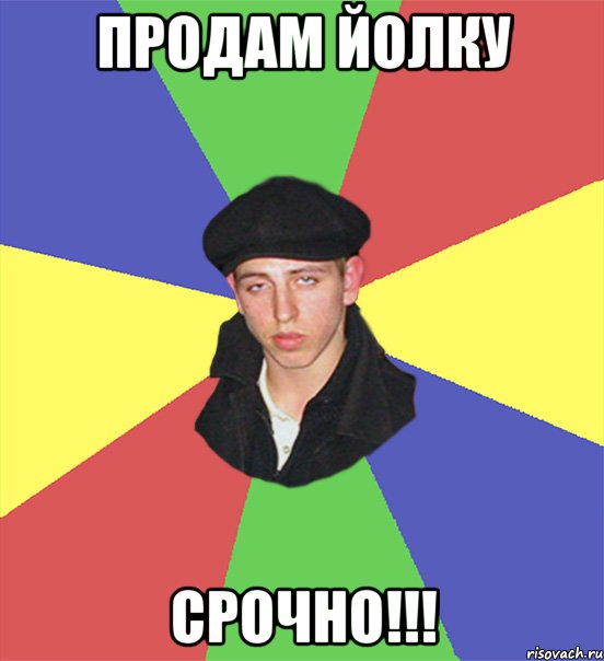 продам йолку срочно!!!
