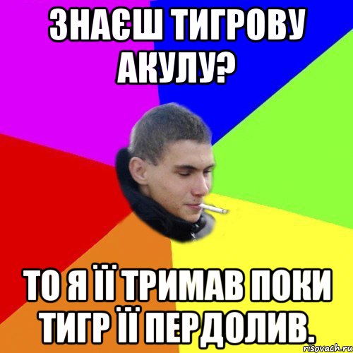 Знаєш тигрову акулу? то я її тримав поки тигр її пердолив.