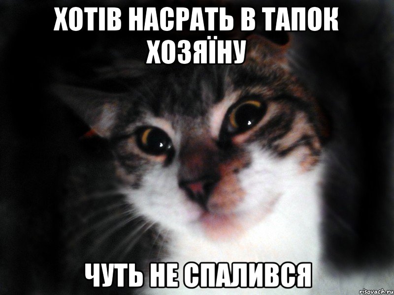 Хотів насрать в тапок хозяїну чуть не спалився