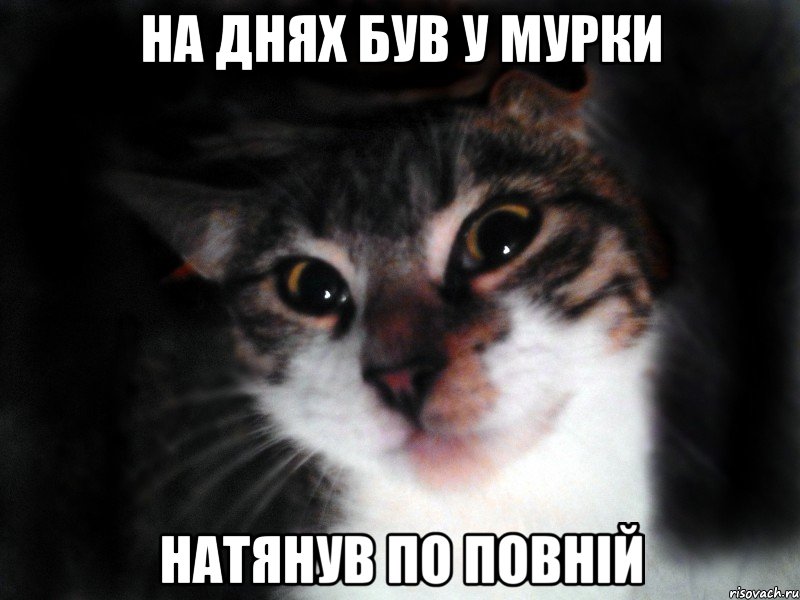 На днях був у Мурки Натянув по повній