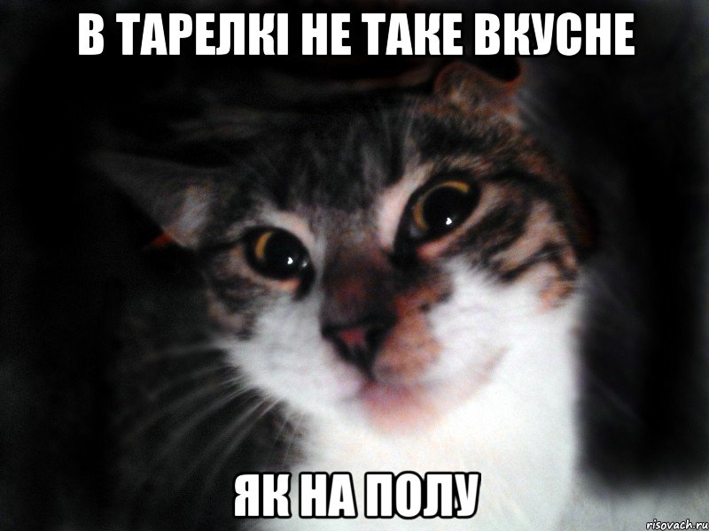 В тарелкі не таке вкусне як на полу