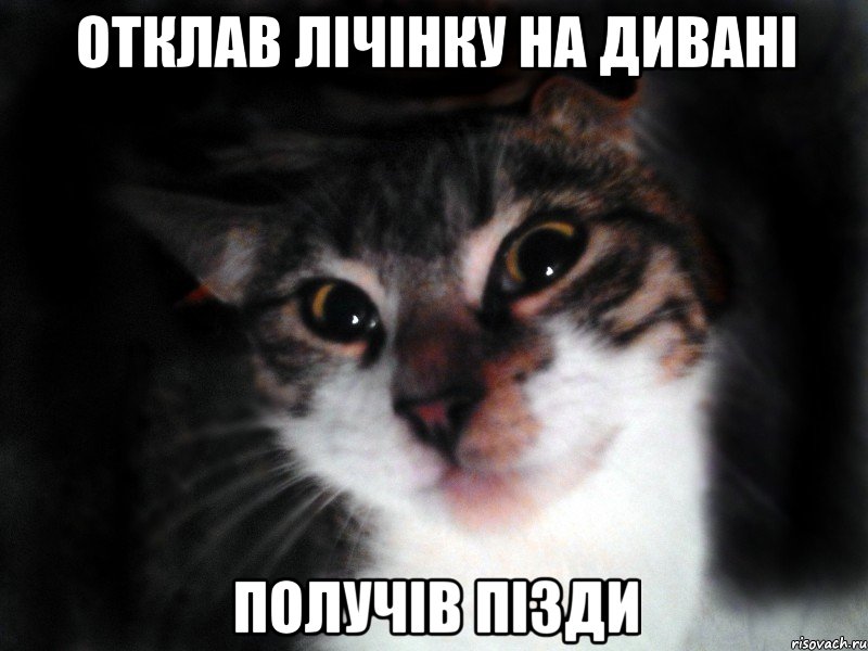 Отклав лічінку на дивані Получів пізди