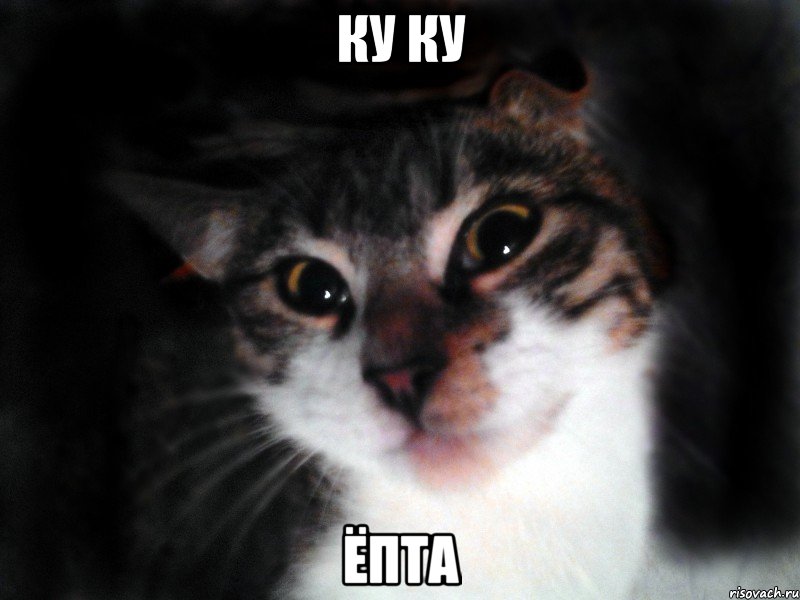 Ку Ку Ёпта