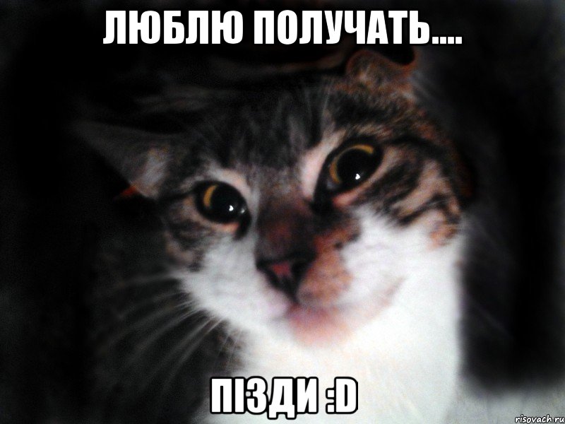 Люблю получать.... пізди :D