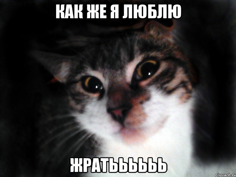 Как же я люблю жратьььььь
