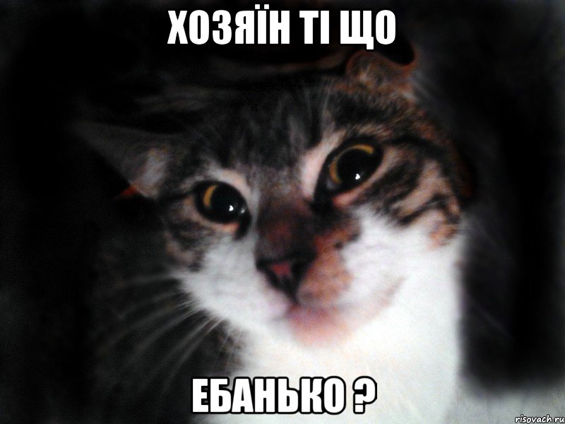 Хозяїн ті що ебанько ?