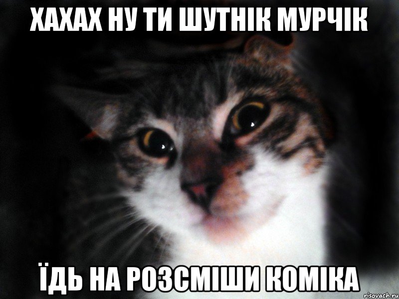 Хахах ну ти Шутнік мурчік Їдь на Розсміши Коміка