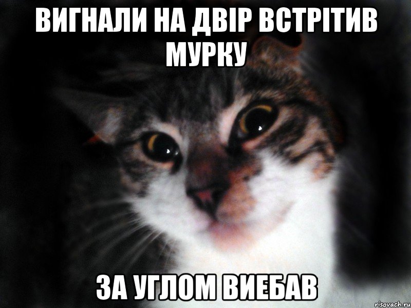 вигнали на двір встрітив мурку за углом виебав