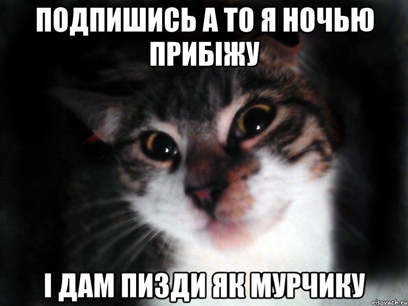 Подпишись а то я ночью прибіжу і дам пизди як мурчику