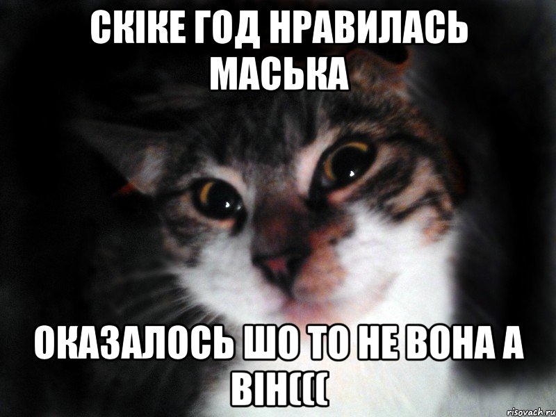 Скіке год нравилась Маська Оказалось шо то не вона а він(((