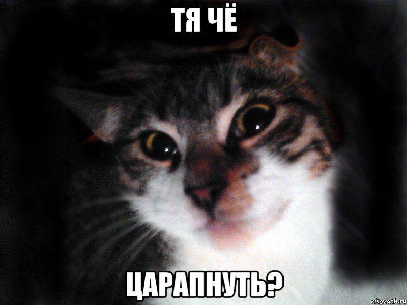 Тя чё Царапнуть?