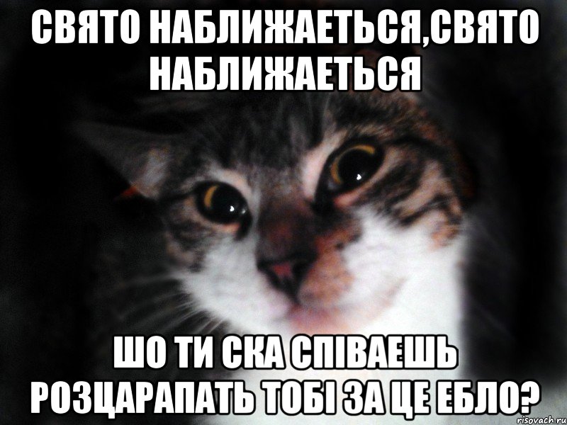 свято наближаеться,свято наближаеться Шо ти ска співаешь розцарапать тобі за це ебло?