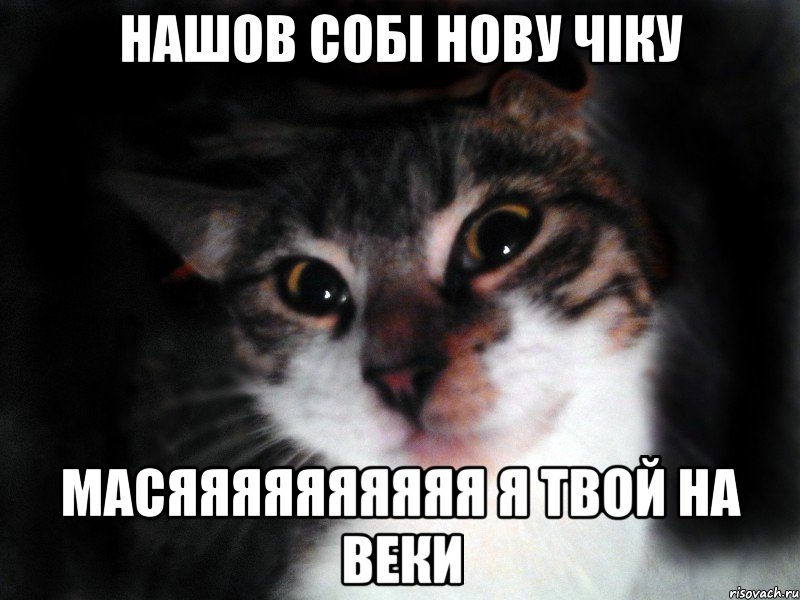 Нашов собі нову чіку МАСЯЯЯЯЯЯЯЯЯЯ я твой на веки
