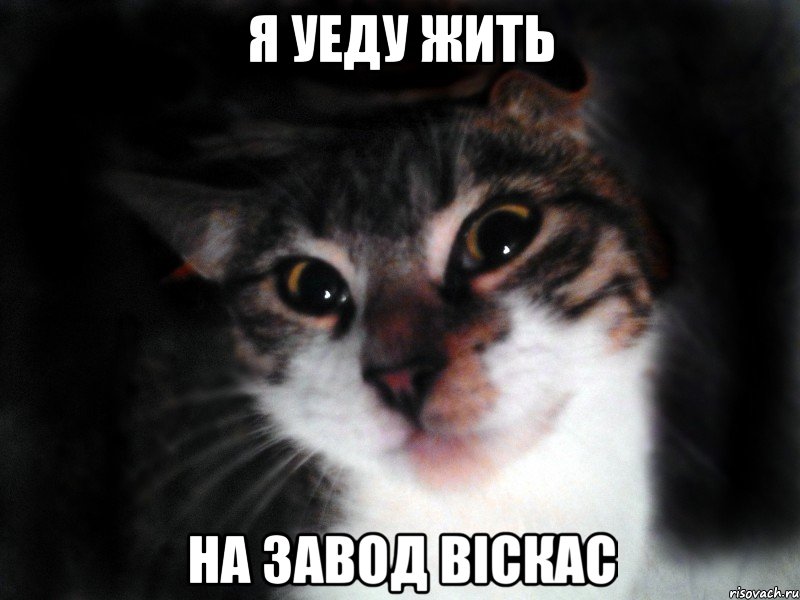 Я уеду жить На завод віскас