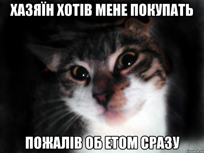 Хазяїн хотів мене покупать Пожалів об етом сразу