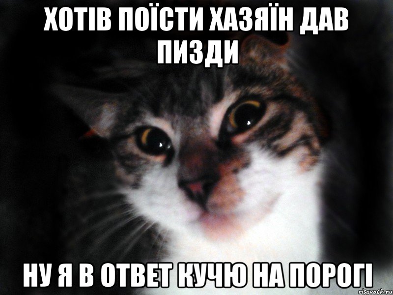 Хотів поїсти Хазяїн дав пизди ну я в ответ кучю на порогі