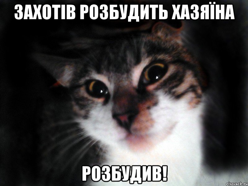 Захотів розбудить хазяїна розбудив!