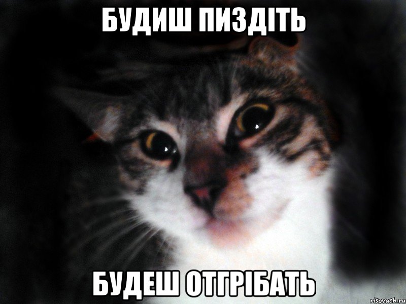 Будиш пиздіть Будеш отгрібать