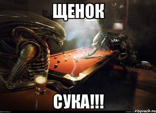 Щенок Сука!!!