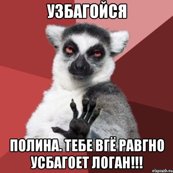 Узбагойся Полина. Тебе вгё равгно усбагоет Логан!!!, Мем Узбагойзя