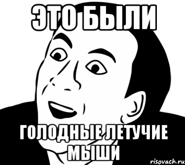 Это были ГОЛОДНЫЕ ЛЕТУЧИЕ МЫШИ, Мем  Да ладно