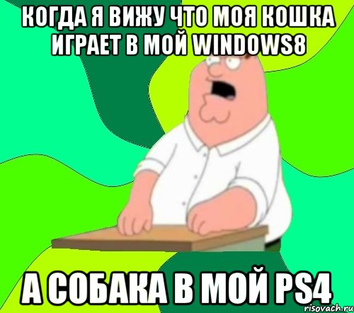 когда я вижу что моя кошка играет в мой windows8 а собака в мой PS4