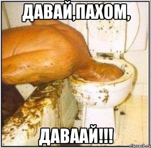 ДАВАЙ,ПАХОМ, ДАВААЙ!!!, Мем Дайвер