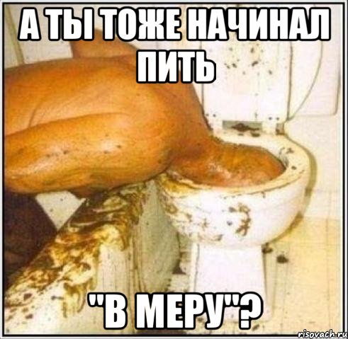 А ты тоже начинал пить "в меру"?, Мем Дайвер