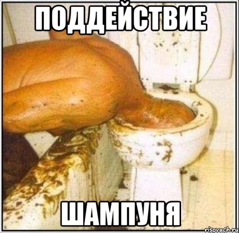ПОДДЕЙСТВИЕ ШАМПУНЯ, Мем Дайвер