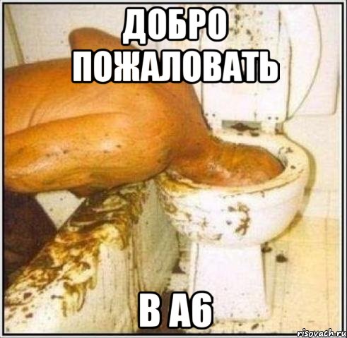Добро пожаловать в A6, Мем Дайвер