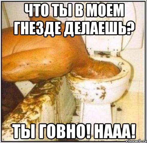 Что ты в моем гнезде делаешь? Ты говно! НААА!, Мем Дайвер