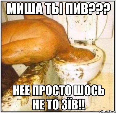 Миша ты пив??? Нее просто шось не то зїв!!, Мем Дайвер