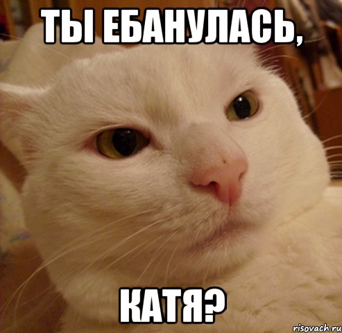 ты ебанулась, Катя?, Мем Дерзкий котэ